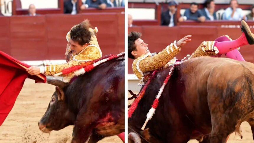 El novillero Álvaro Serrano sufre una impactante cornada en la rodilla derecha