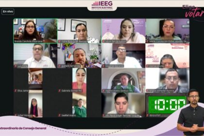 ieeg 1 ieeg 1