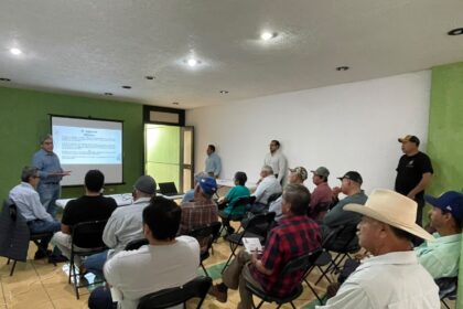 Impulsan riego eficiente para preservar el agua en Guanajuato