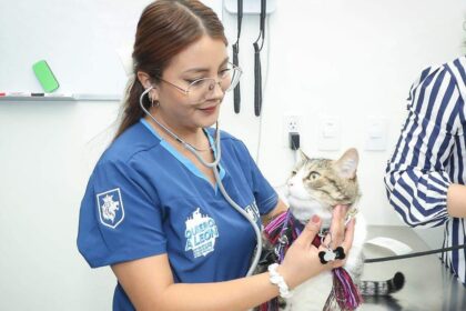 León suma 135 mil esterilizaciones y más de 34 mil consultas veterinarias en cinco años