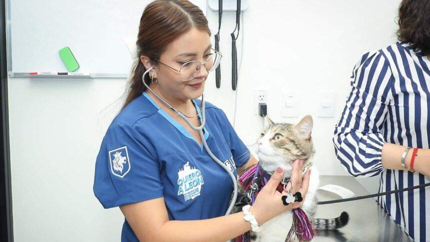 León suma 135 mil esterilizaciones y más de 34 mil consultas veterinarias en cinco años