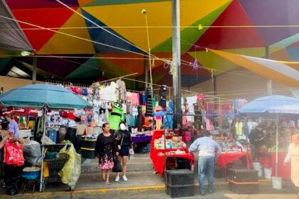 Mercado del Tepe tendrá tianguis de Día de Muertos