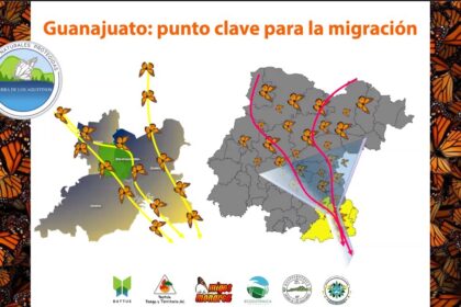 Procuraduría Ambiental ofrece plática sobre Travesía Monarca 2026