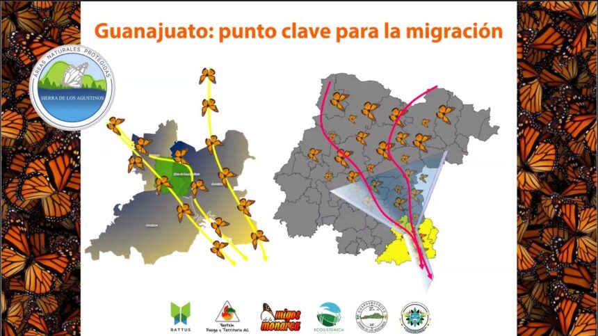 Procuraduría Ambiental ofrece plática sobre Travesía Monarca 2026