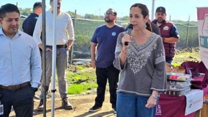Sheinbaum designa embajadora en Perú dos meses tras restablecer relaciones diplomáticas