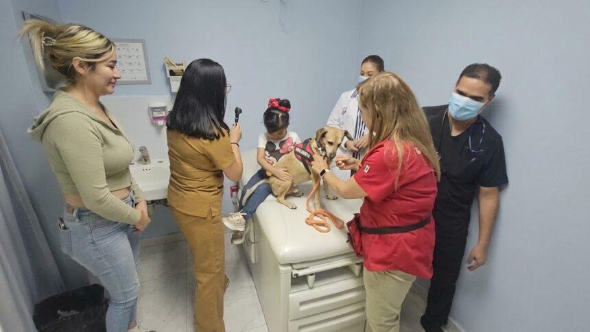 SSG implementa terapia asistida con animales para fortalecer la atención paliativa pediátrica