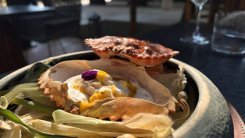 Valle de Guadalupe: los mejores lugares para desayunar, comer y cenar