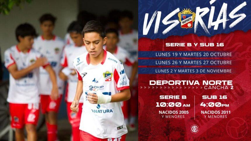 visorias 2